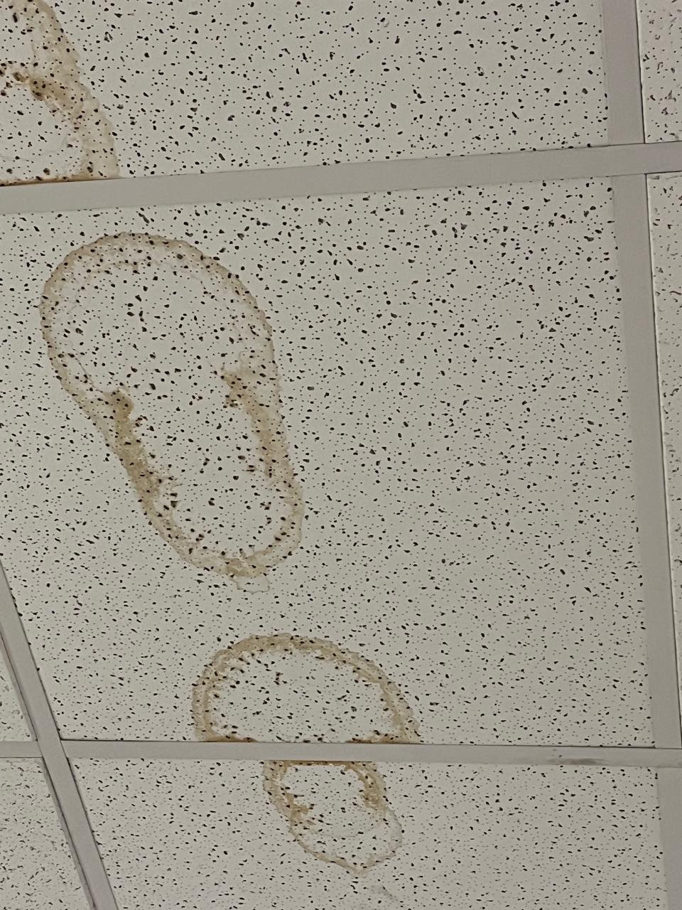 Stained acoustic ceiling tile before replacement